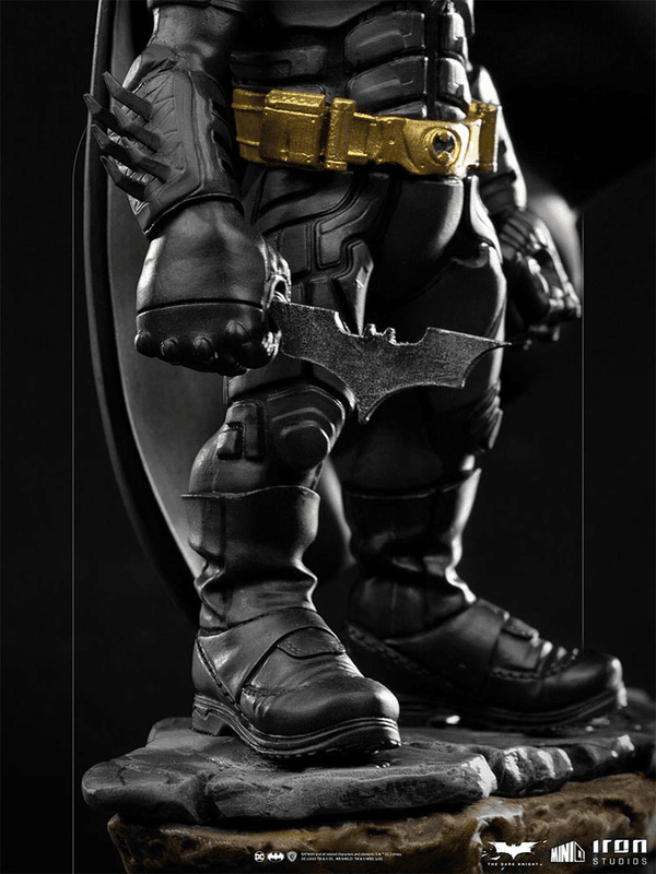 Batman (El Caballero Oscuro) MiniCo 6