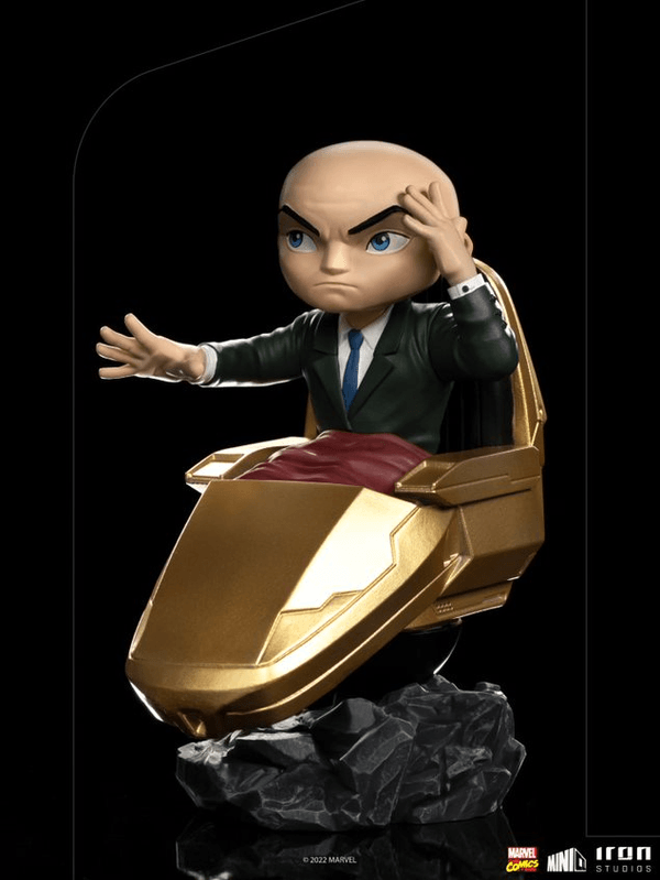 Profesor Xavier MiniCo 5