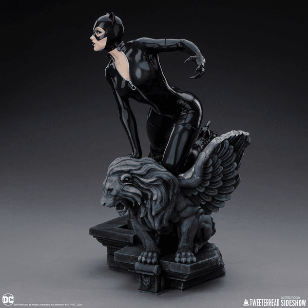 Catwoman-ca68a4ef-87b7-4de8-b6a7-d5d26cbc3ffb 14