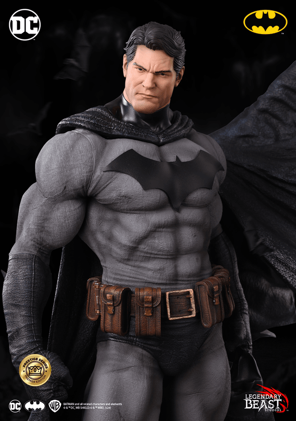 Batman -f8f771c9-0c9d-4566-ab5f-983168b15a7b 14