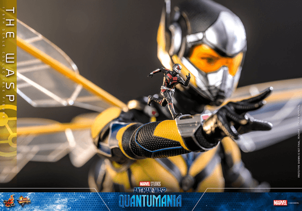 The Wasp 7