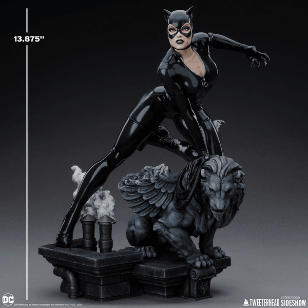 Catwoman-ca68a4ef-87b7-4de8-b6a7-d5d26cbc3ffb 7