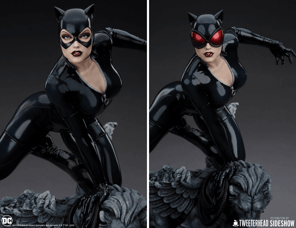 Catwoman-ca68a4ef-87b7-4de8-b6a7-d5d26cbc3ffb 6