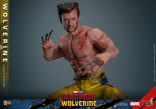 Wolverine-34dc2150-6f48-4897-9a2f-13d52a7fc477 10