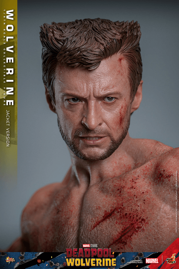 Wolverine-34dc2150-6f48-4897-9a2f-13d52a7fc477 5