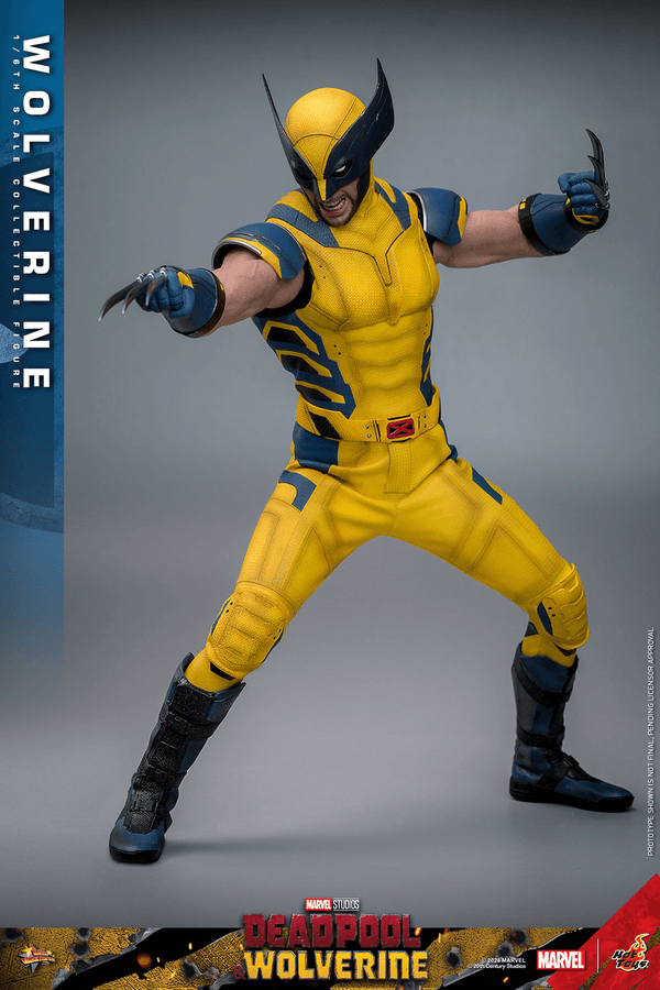 Wolverine-fe4d8bd6-33fd-41ed-a584-a4bba8e16985 10