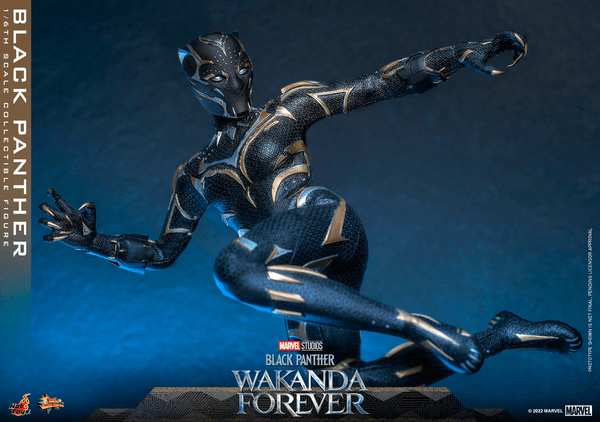 Black Panther -44689760-86da-4034-9b99-43436683472b 18