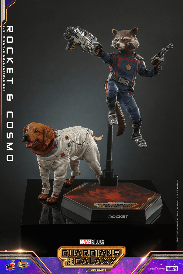 Rocket and Cosmo 11