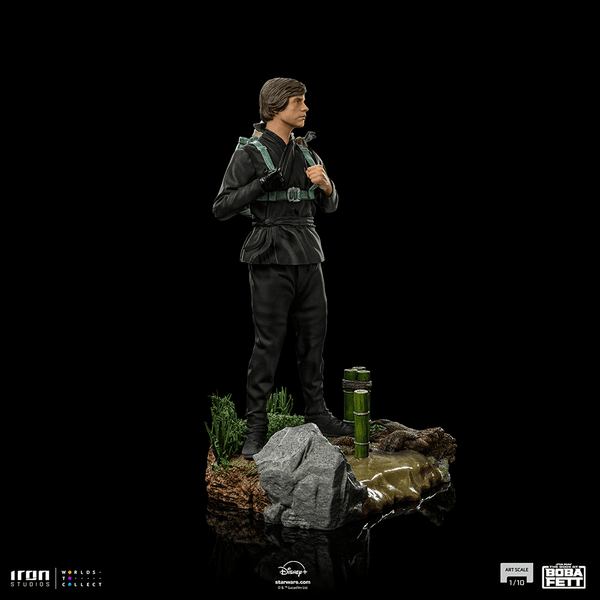 Luke Skywalker and Grogu Training  11