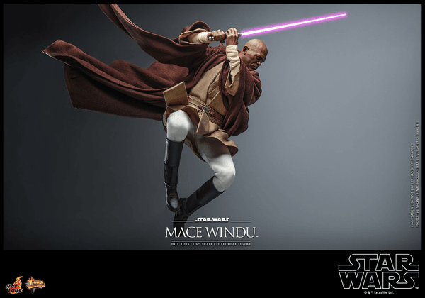 Mace Windu-82fe4cd8-e87b-4464-be73-269b29fa58ef 18