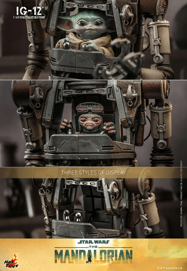 IG-12 15