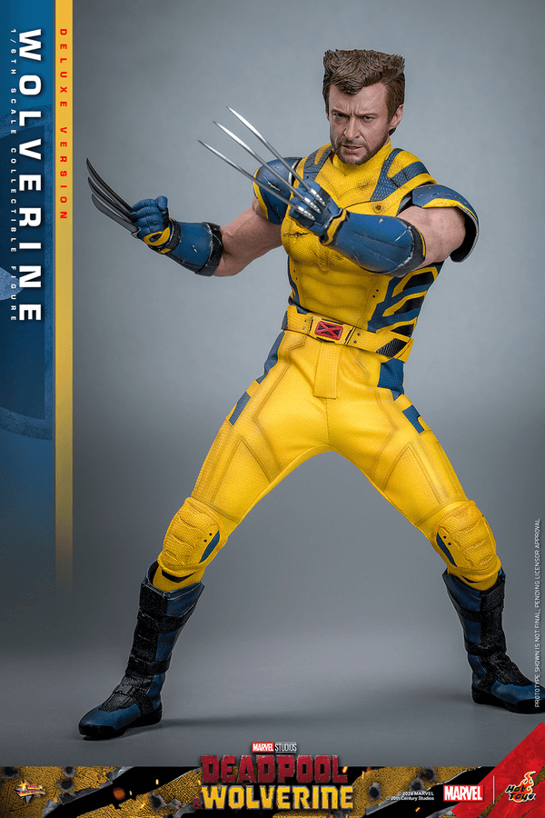 Wolverine - Deluxe 6