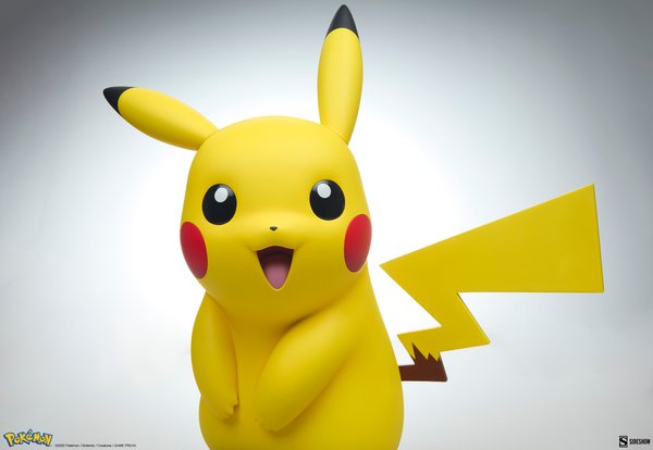 Pikachu-52607915-26a8-4b41-bc15-a764644dd93e 13