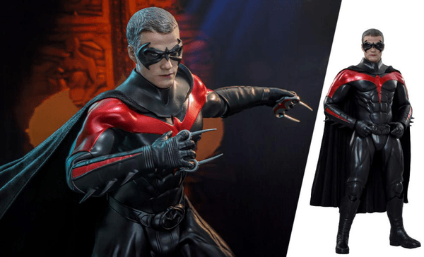 Robin 1