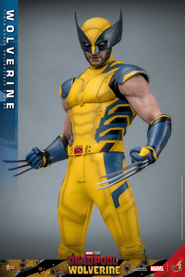 Wolverine-fe4d8bd6-33fd-41ed-a584-a4bba8e16985 6