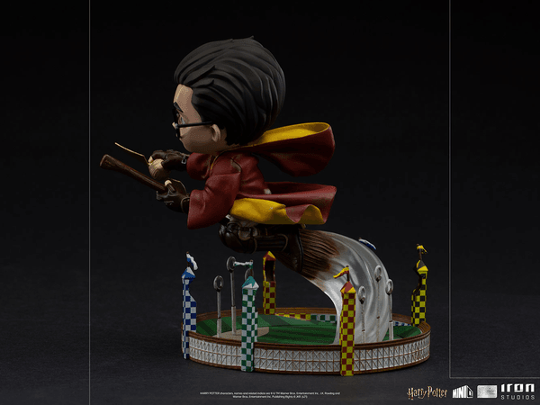 Harry Potter en el partido de Quidditch MiniCo 7