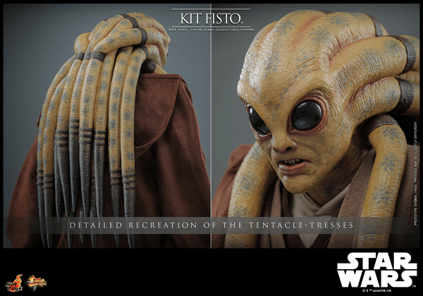 Kit Fisto 14