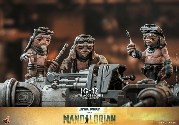 IG-12 With Accessories 22