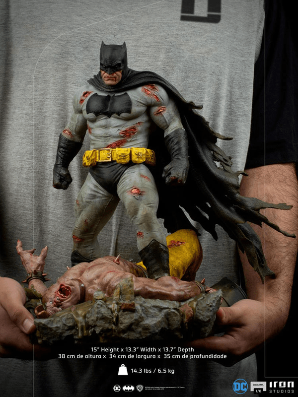Batman: The Dark Knight Returns-d55c78ba-8f03-44ff-92c2-f054e3d317f2 8