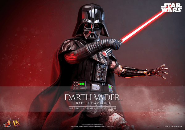 Darth Vader™ (Battle Damaged) 13