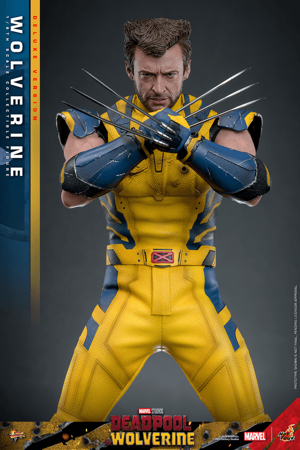 Wolverine - Deluxe 7