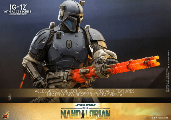 IG-12 With Accessories 24