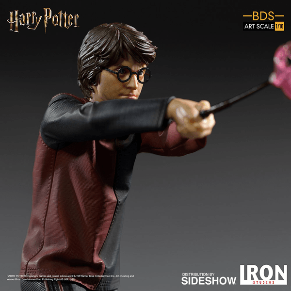  Harry Potter 4