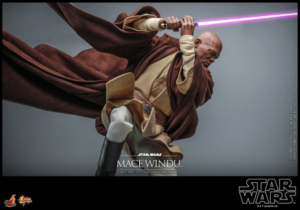 Mace Windu-82fe4cd8-e87b-4464-be73-269b29fa58ef 6