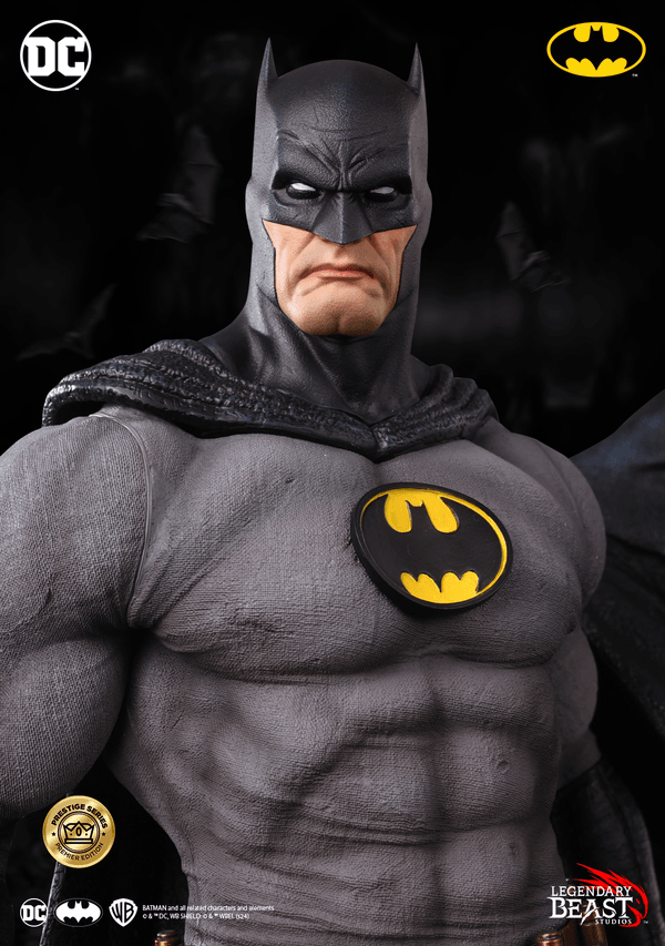 Batman -f8f771c9-0c9d-4566-ab5f-983168b15a7b 12