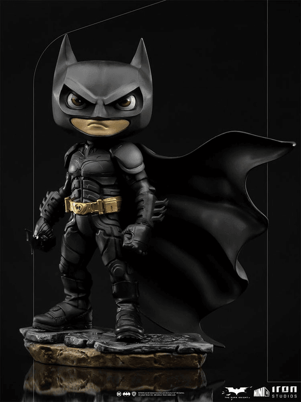 Batman (El Caballero Oscuro) MiniCo 10