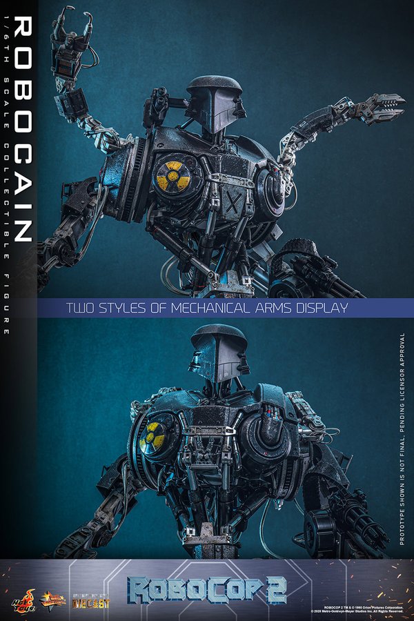 RoboCain-27ac5239-be5c-475c-803c-0e80467d25d5 19
