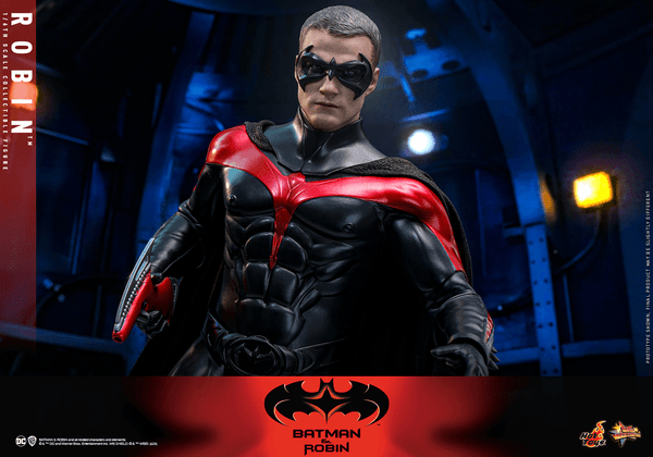 Robin 12