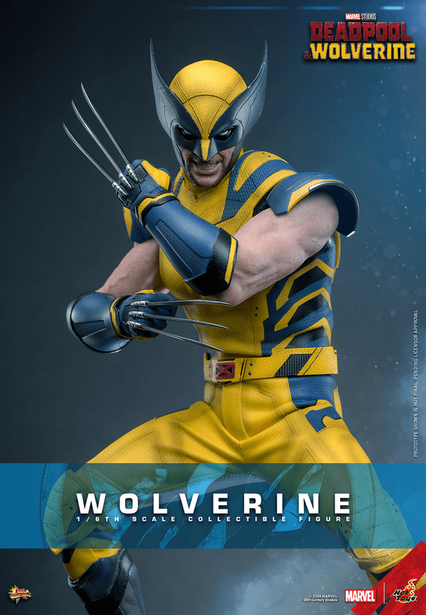 Wolverine-fe4d8bd6-33fd-41ed-a584-a4bba8e16985 2