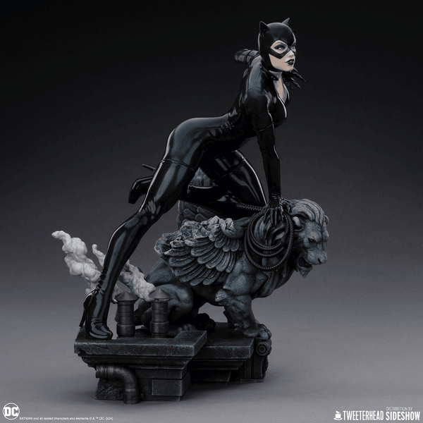 Catwoman-ca68a4ef-87b7-4de8-b6a7-d5d26cbc3ffb 11