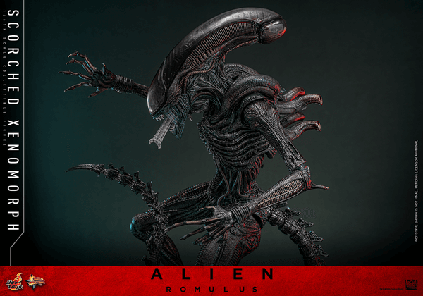 Scorched Xenomorph - Alien 4