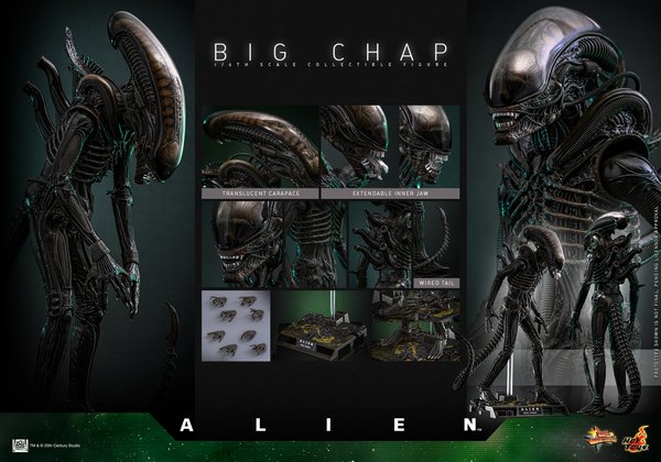 Big Chap-5d6ca20c-0813-4976-8e89-ac94ad156b13 20
