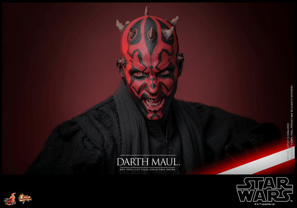 Darth Maul-8172339a-2674-4872-afb3-8a09e48f6f25 13
