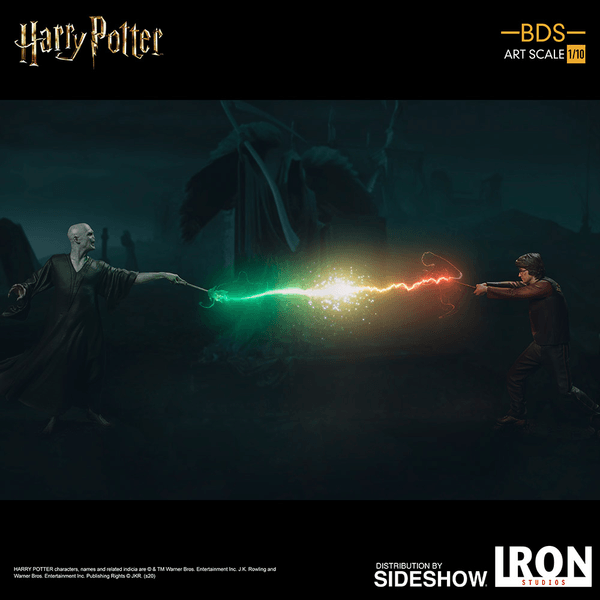  Harry Potter 10