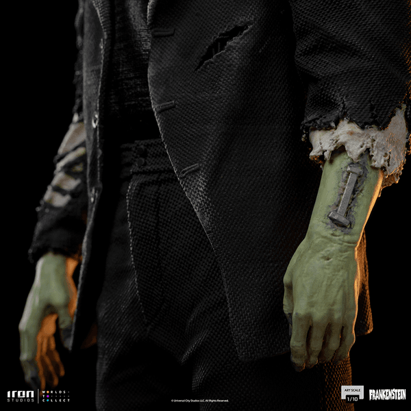 Frankenstein Monster  13