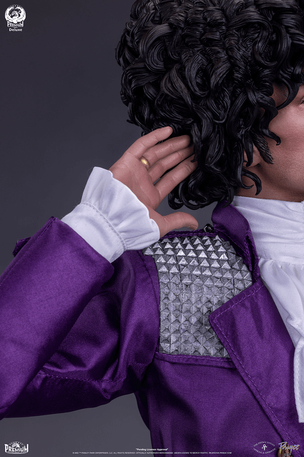 Prince (Deluxe Version) 15