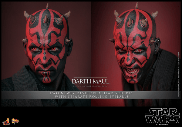 Darth Maul-8172339a-2674-4872-afb3-8a09e48f6f25 6