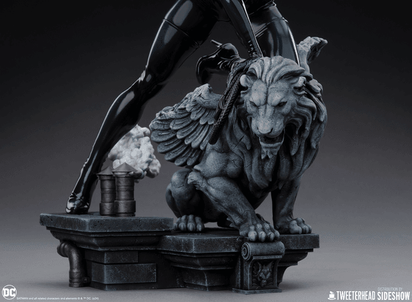 Catwoman-ca68a4ef-87b7-4de8-b6a7-d5d26cbc3ffb 12