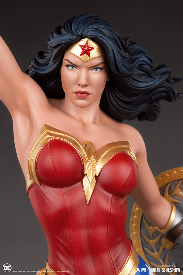 Mujer Maravilla 11