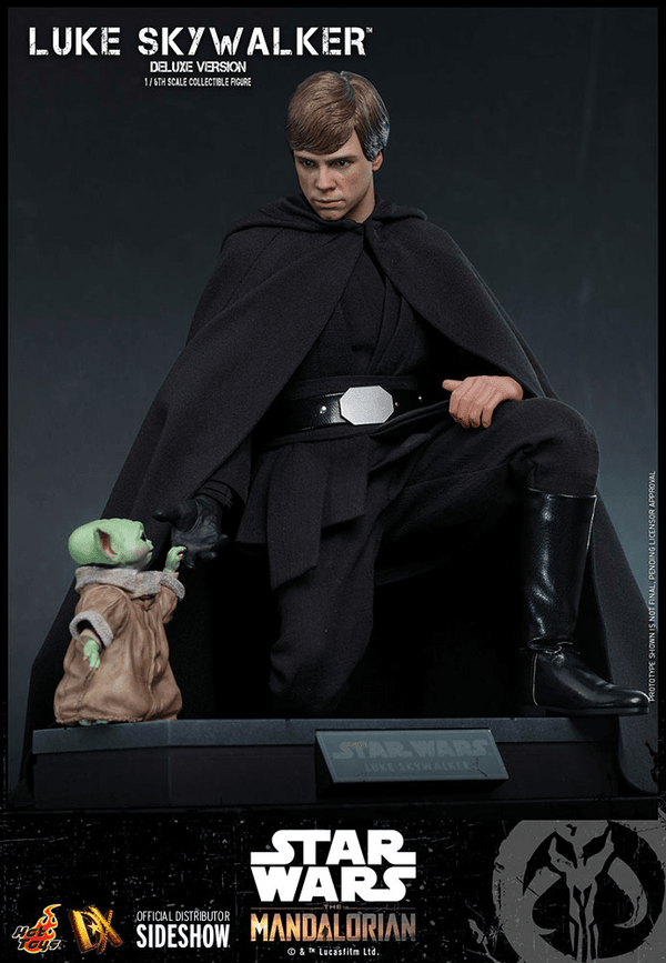 Luke Skywalker (Deluxe Version) 6