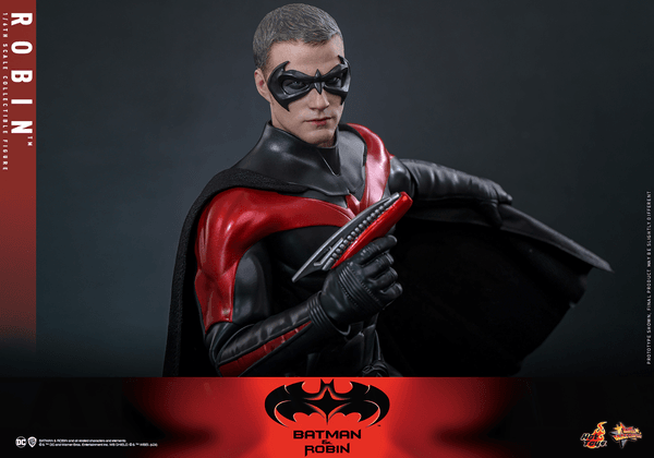 Robin 14