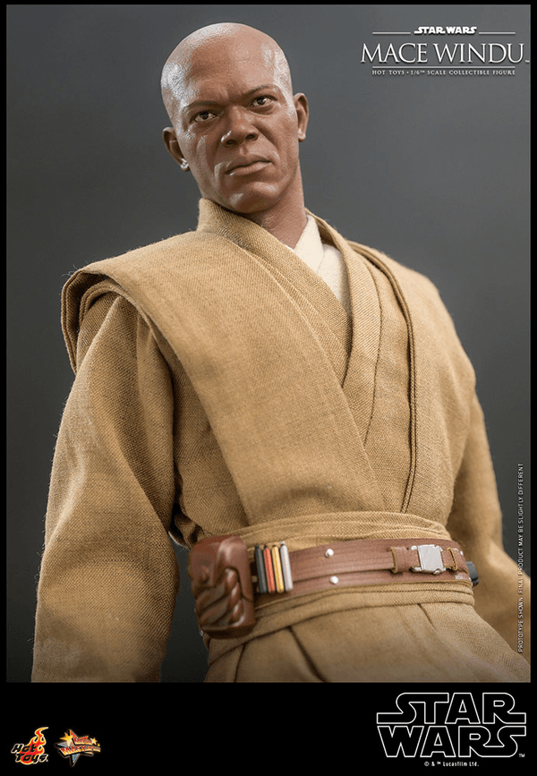 Mace Windu-82fe4cd8-e87b-4464-be73-269b29fa58ef 12