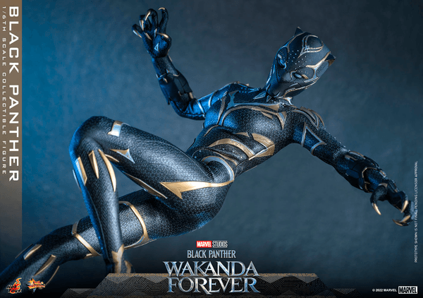 Black Panther -44689760-86da-4034-9b99-43436683472b 12