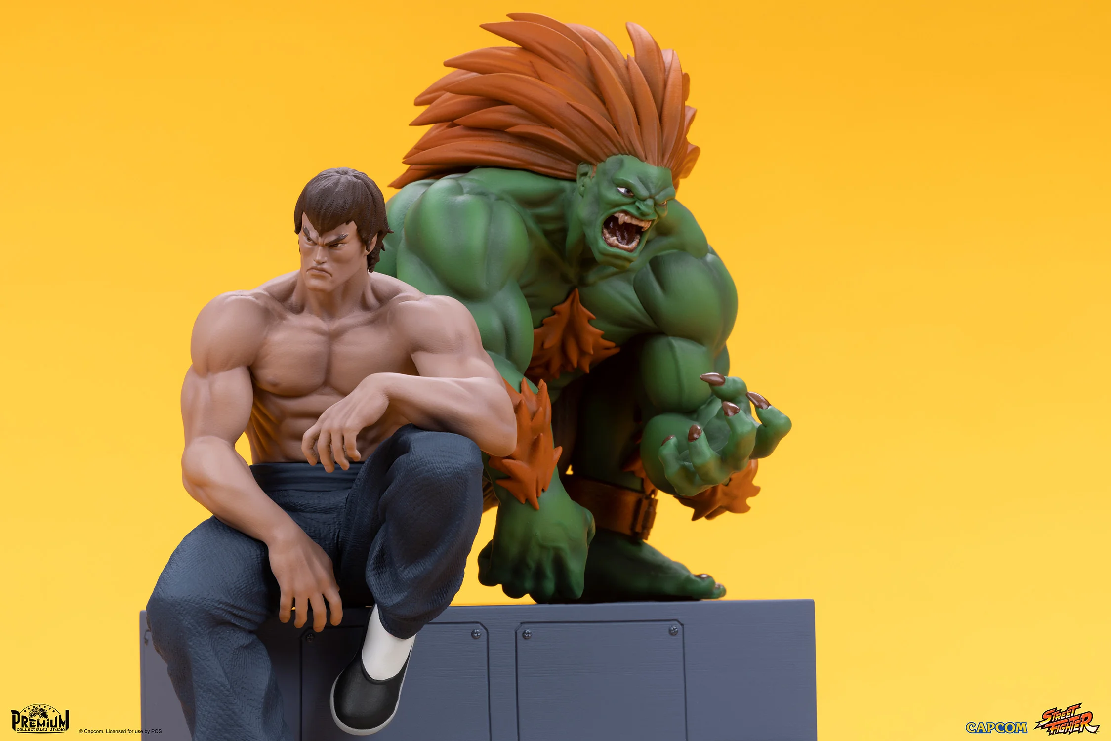 Blanka & Fei Long 1