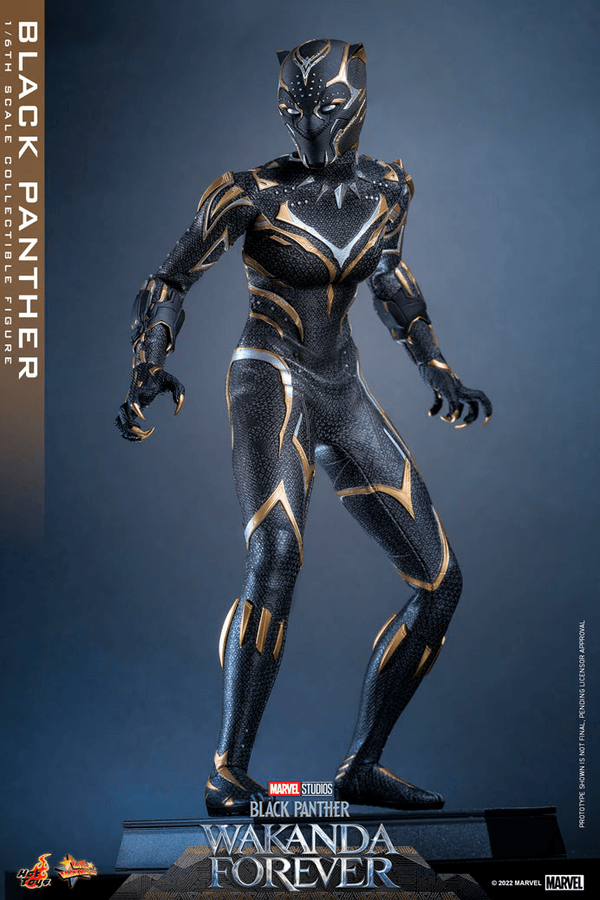 Black Panther -44689760-86da-4034-9b99-43436683472b 4