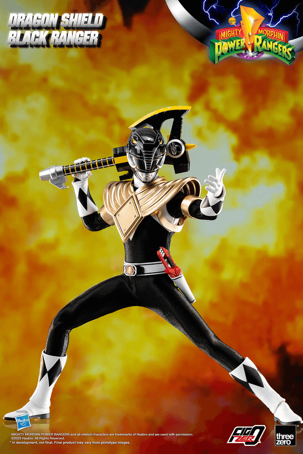 Dragon Shield Black Ranger 8
